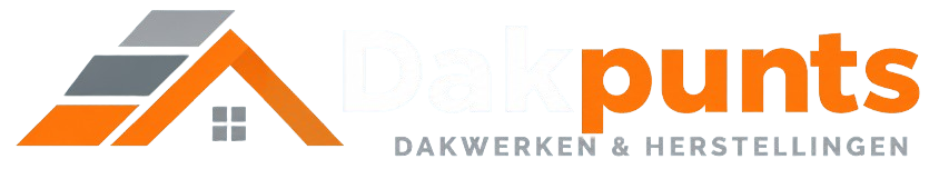 Dakpunts