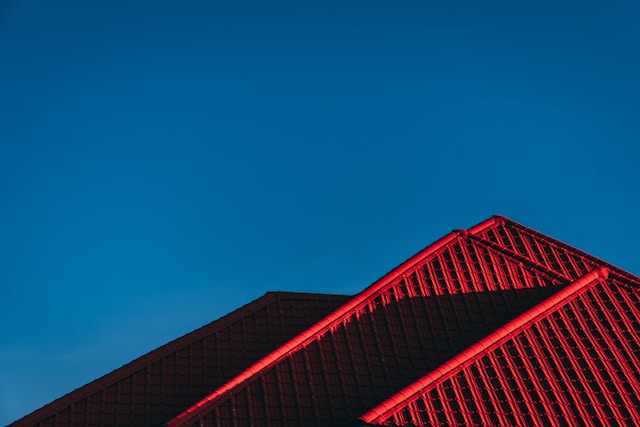 robin-kutesa-wmhhsI7GUQ8-unsplash